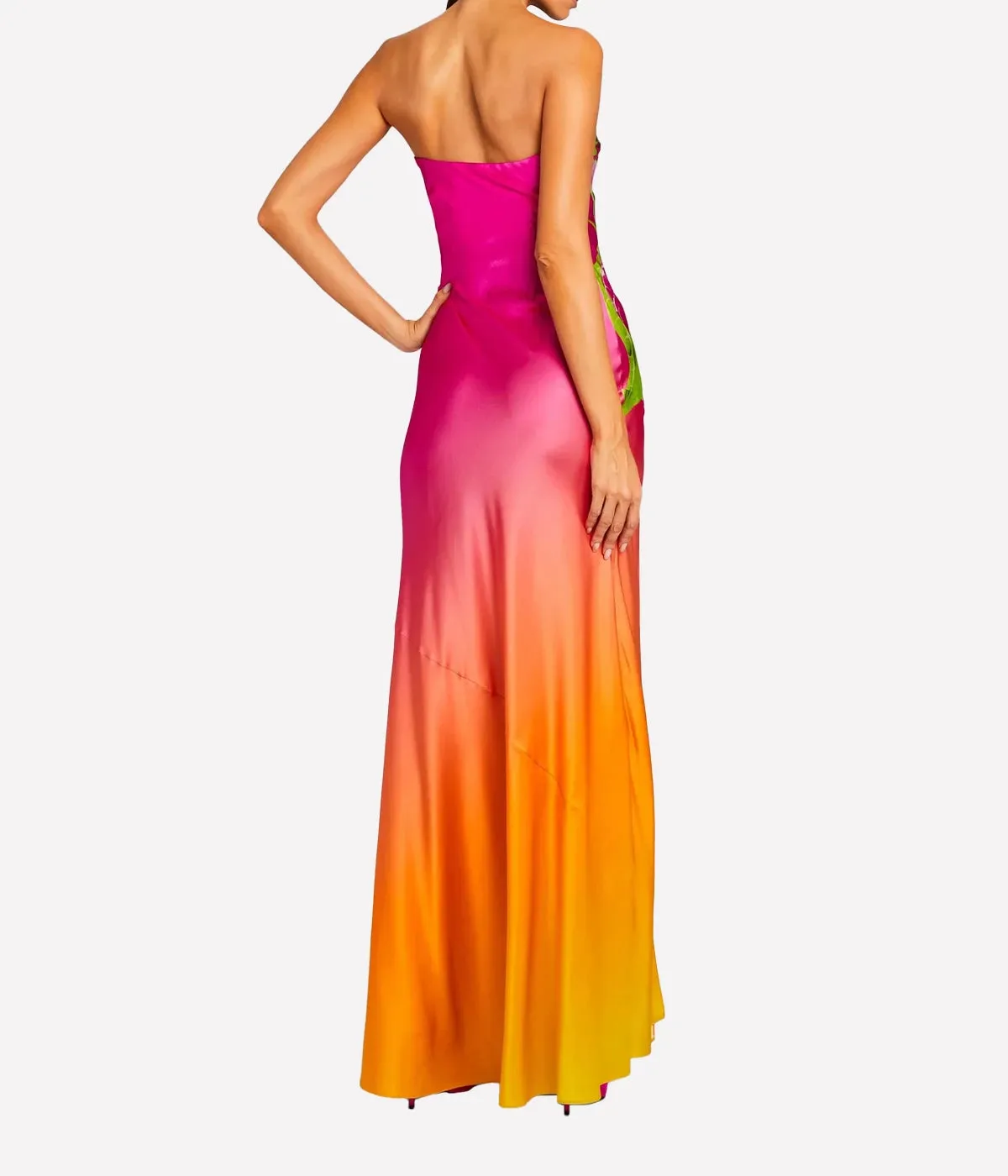 Aiyanna Dress in Ombre Anthurium