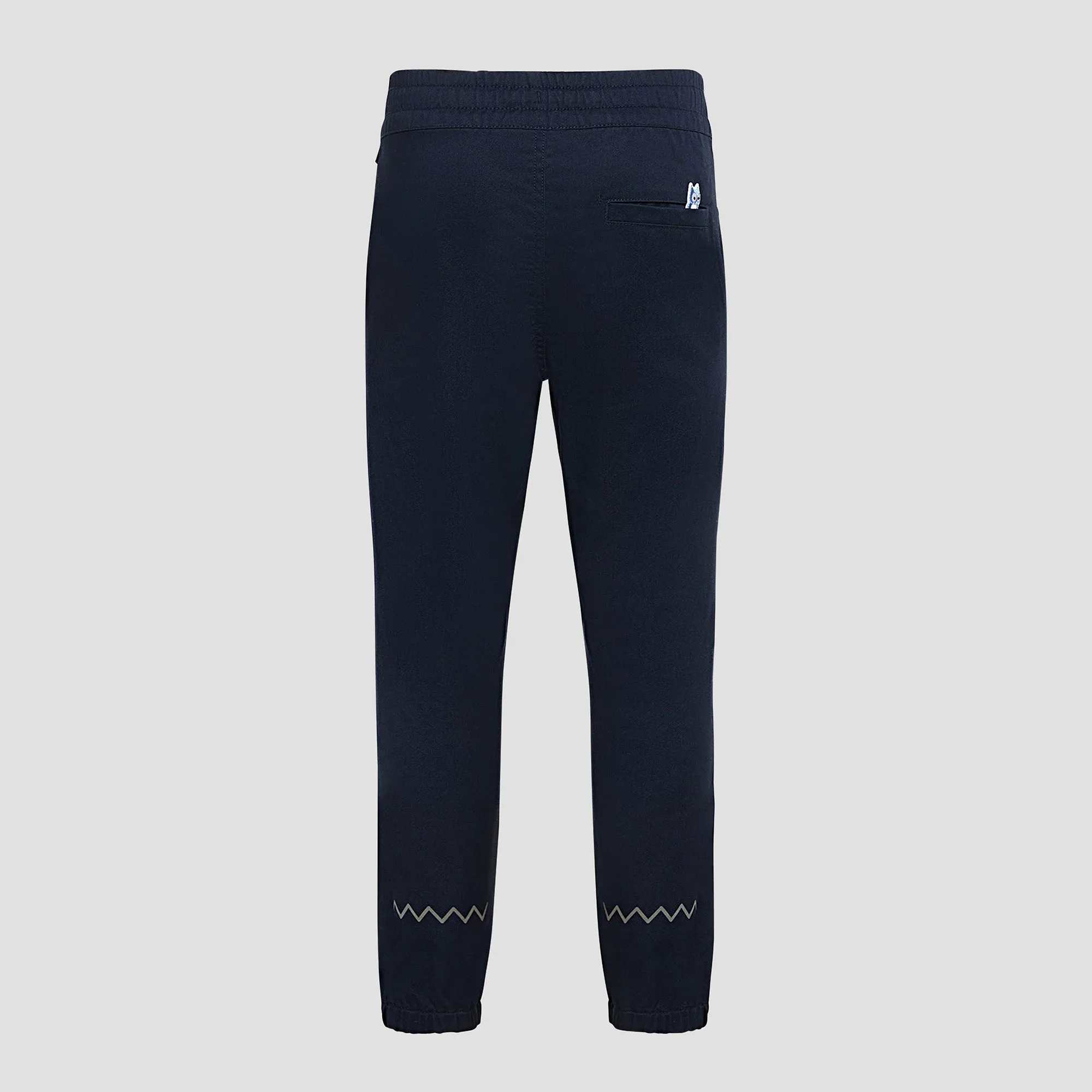 Dash heavy twill pants