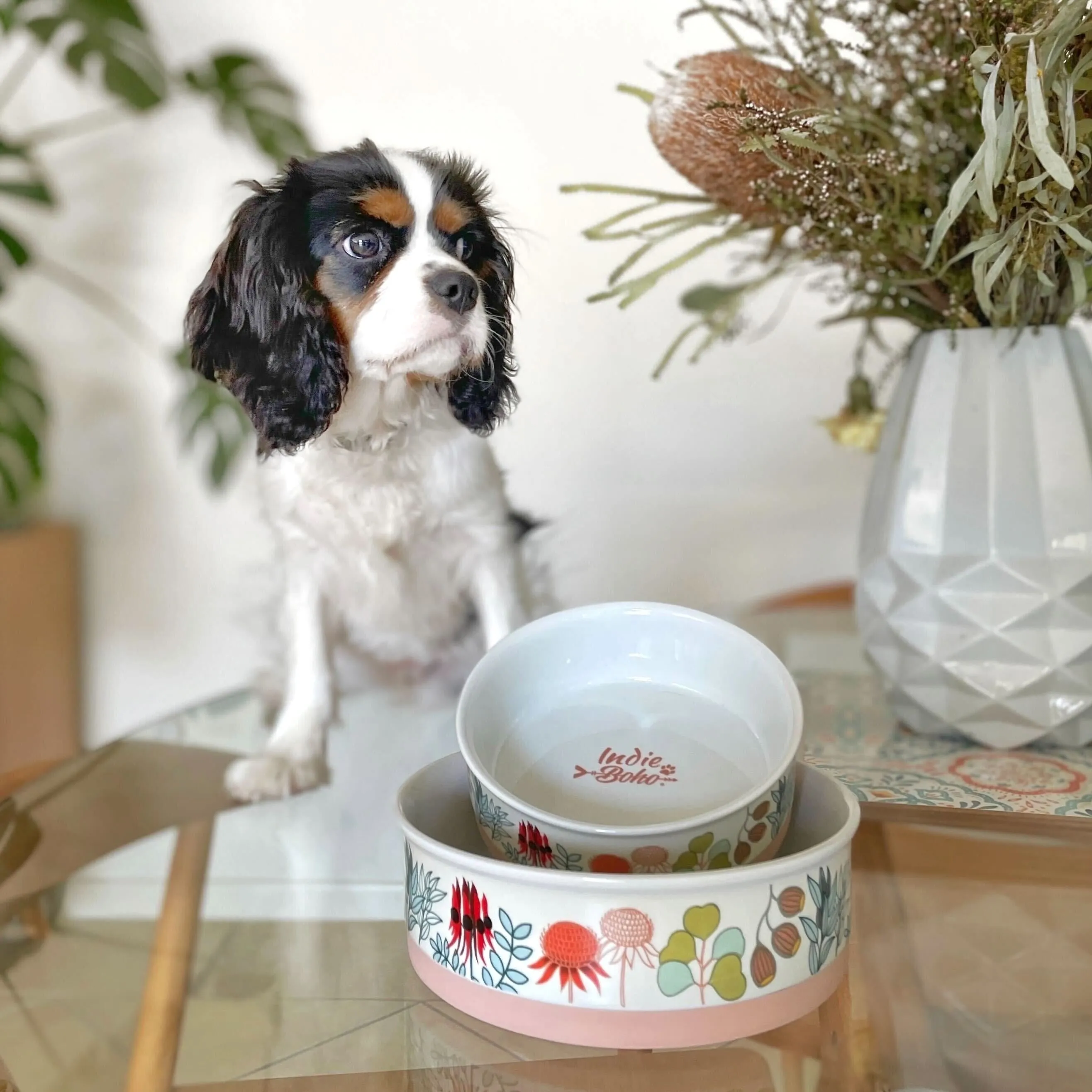 Native Flora - Ceramic Dog Bowls