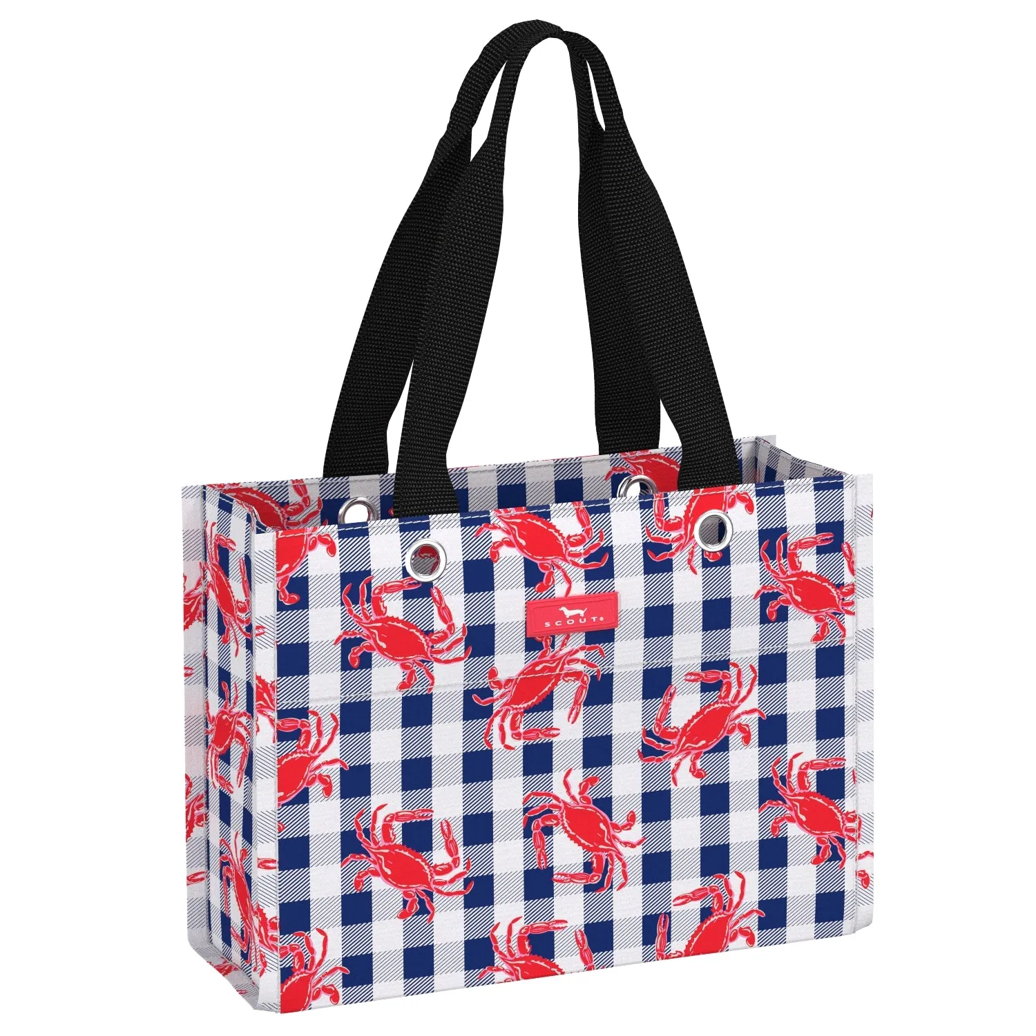 Scout Tiny Package Gift Bag- Summer 2024